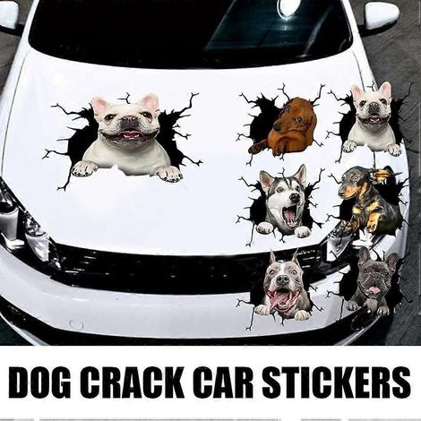 Stück 3D-Autoaufkleber mit Hundemotiven zum Selbermachen, DIY-Autoaufkleber für Hunde, Auto-Kofferraum-Stoßstangen-Dekoration, Auto-Styling-Aufkleber für Haustiere
