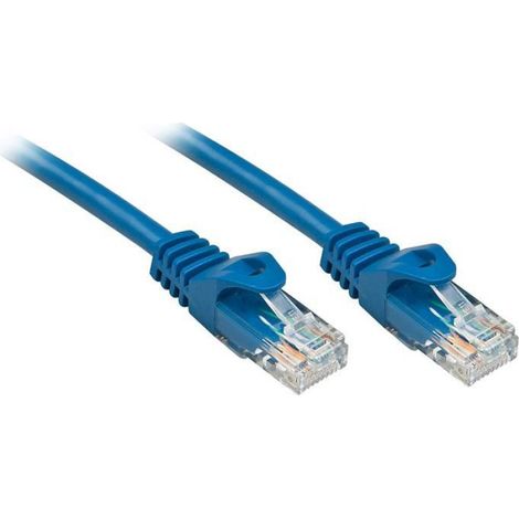 Câble réseau - Basic - Cat.6 - 0,3m - RJ45 mâle - Snagless - 1000Base-T