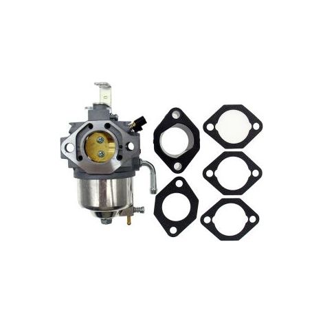 GB290 GM291 Carburateur – Compatible GM301 GB300 GT1000 8HP 10HP, génératrice Mitsubishi, secours (1/5)