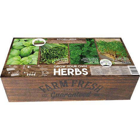 Carré de Potager Herbes de cuisine