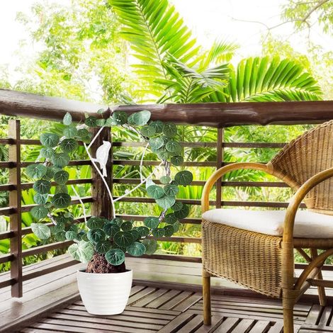 Treillis Support Plantes Iron Double Inserts Complet pour Jardins Équilibre Pots Croissance Avec Éléments Décoratifs Plantes Creuses Plantes Balcon S (30 x 40.5cm) Noir/L Blanc (1 Pièce) (1/5)