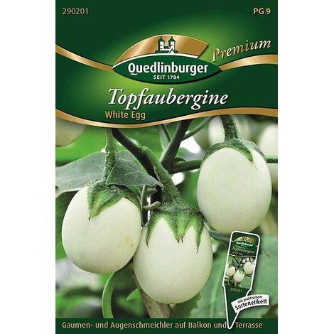 Quedlinburger Topfaubergine White Egg - Gemüsesamen