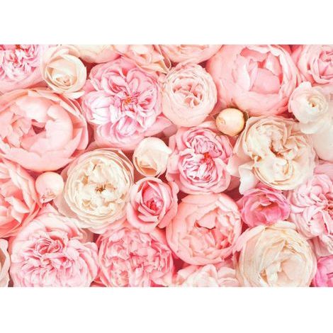 Papier peint panoramique original motif rose Tapisserie panoramique floral pour chambre Papier peint panoramique idéal pour salon (1/4)