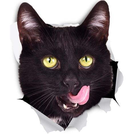 Autocollants de chat 3D - 2 Pack - Sticker Hungry Cat pour mur, réfrigérateur, toilettes et plus (1/4)