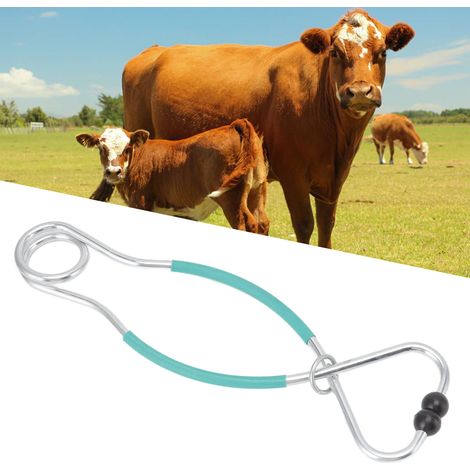 Bullennasen-Zugschlaufe, Bullennasenring, Bullennasen-Piercingklemme, große Größe, kein Bohren erforderlich, grün. (1/5)
