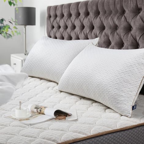 Oreiller 50x70CM - Lot de 2 - avec Fibres de Bambou (1/5)