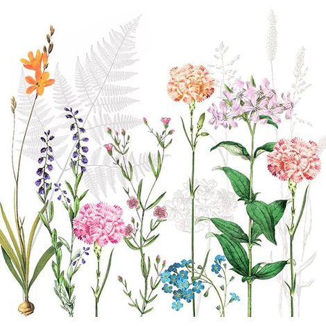 Braun & Company Servietten Motiv Botanica 33 x 33 cm - 20er Pack Partydekoration