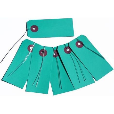 Etiquettes bleues avec fil métallique x 10