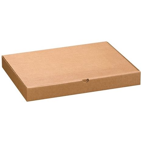 Boîte postale extra plate format A3 - 43 x 31 x 5 cm - Lot de 50