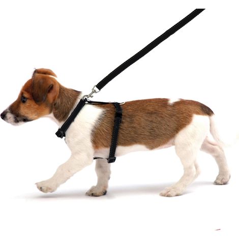 Adjustable Reflective Padded Dog Pet Harness & Pull Lead Puppy Soft Safety Vest