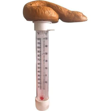 1 Thermomètre flottant, double échelle Celsius Fahrenheit, cordon de fixation, matériau robuste, pour piscine spa bain à remous (1/5)