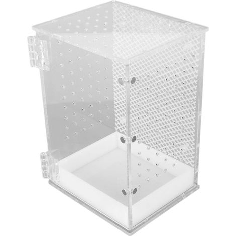 Terrarium pour reptiles en acrylique transparent, idéal pour gecko léopard, serpent et grenouille (taille S). (1/5)