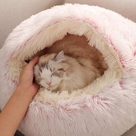 Lit pour chat moelleux - Lit pour chat en peluche rond - Kattenmand - Kattenbed - Lit pour chat d'hiver à capuche - Geschikt voor chatons et chiot - 40cm - Tissu - Rozeroze (1/5)