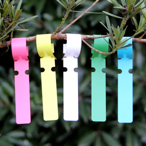 250 étiquettes pour arbres à suspendre, en plastique, 5 couleurs (1/5)