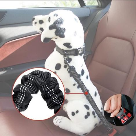 Ceinture pour Chien - Harnais Voiture en Nylon Elastique - Réglable 54-90cm - Indéchirable Durable (1/4)