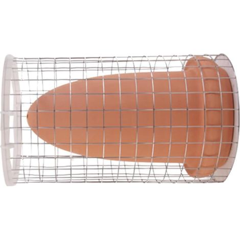 Cône de Ponte pour Poisson-Ange, Baril de Frai Décoratif Réutilisable (1/5)