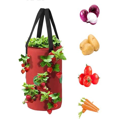 Sac de plantation fraise, sacs à plantes suspendus, pour fraises/plantes/herbes/fleurs/légumes, respirant, solide et durable, 20 × 35 cm, rouge (1/5)