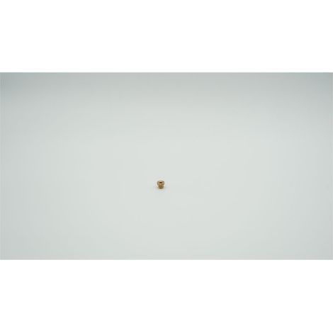 BWT Verschlussstopfen für Multipur M, G 1/8" DIN 908, 1-759844