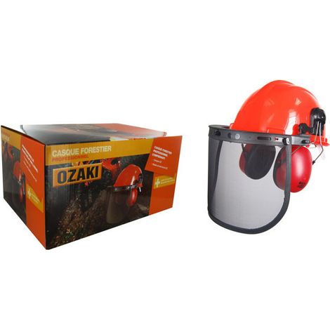 Vollständiger Jägerhelm bestehend aus einem Helm (en397), einem 25 dB Geräuschdämpfer (en352-3), einem Visier Gr