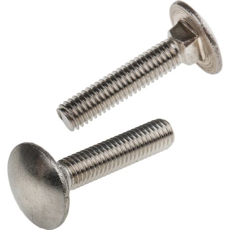 Boulon Acier Inoxydable, Brut, M6 x 30mm ( Prix pour Sachet de 50 )