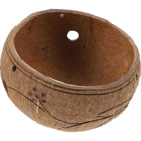 Homoyoyo Pot de fleurs suspendu en coquillage naturel pour plantes succulentes et fougères (1/5)