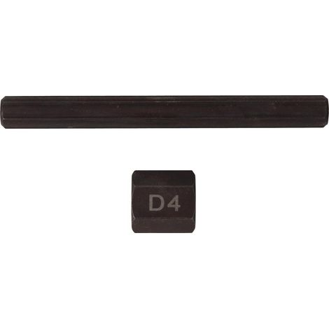 Dado per estrattore completo di punta da 4