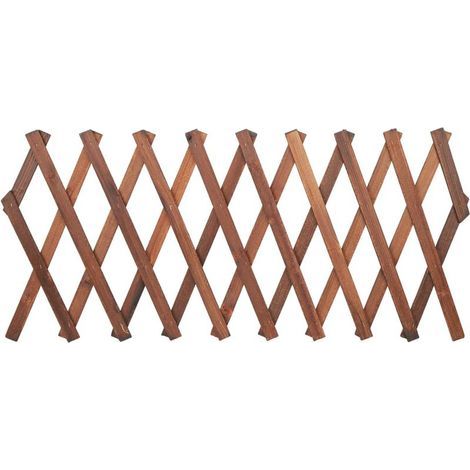 Treillis extensible en pin pour plantes grimpantes – Dimensions ajustables 120 x 35cm, 155 x 30cm, 180 x 25cm – Support robuste pour vignes et fleurs (1/5)