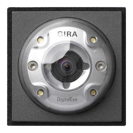 Gira 126567 Telecamera Antracite per Videosorveglianza Esterna
