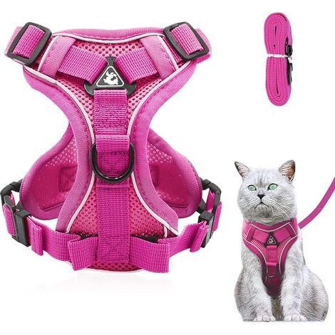 Harnais réglable anti-éclatement pour chat avec laisse - Harnais souple pour chat - Gris M (1/5)