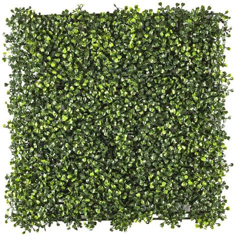 Plaque Murale Végétale Feuillage de Buis 50x50cm - Rendu Dense et Réaliste - Intérieur Extérieur - Livraison gratuite (1/5)