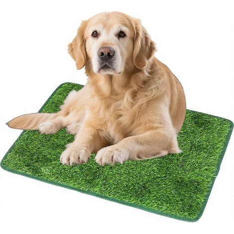 Toilette per cani con erba sintetica - lavabile e riutilizzabile (46 x 70 cm) (1/5)