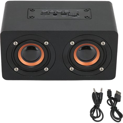Enceinte Bluetooth multifonctionnelle et élégante en imitation bois pour karaoké à domicile (1/4)