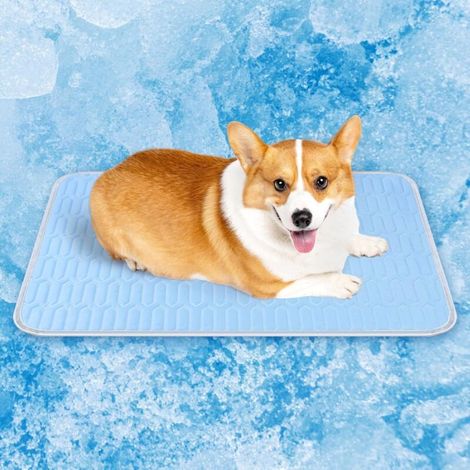 Tapis rafraîchissant instantané pour chien – panier lavable en machine pour cage, voiture ou sol, coussin antidérapant pour l'intérieur et l'extérieur en été