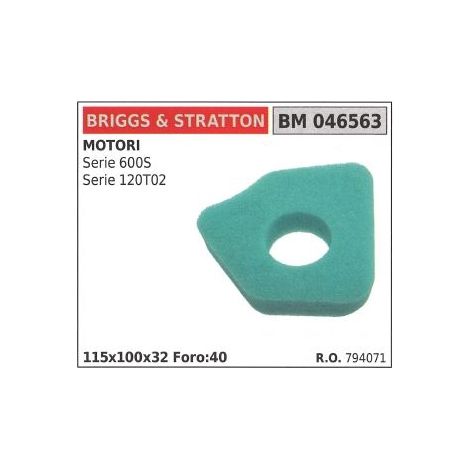 Filtro de aire BRIGGS&STRATTON cortacésped cortacésped serie 600S 120T02