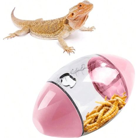 3 jouets distributeurs pour dragons barbus - Jouet d'enrichissement interactif en forme de rugby pour reptiles, adapté aux geckos barbus et petits animaux (couleur aléatoire) (1/5)