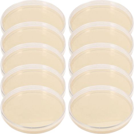Lot de 10 boîtes de Petri pré-coulées à l'agar, idéales pour les projets scientifiques.-9.00X9.00X1.00CM (1/4)