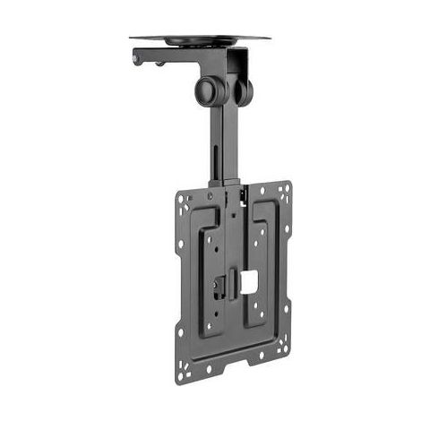 My Wall HL 45-2 L Deckenhalterung schwarz neigbar