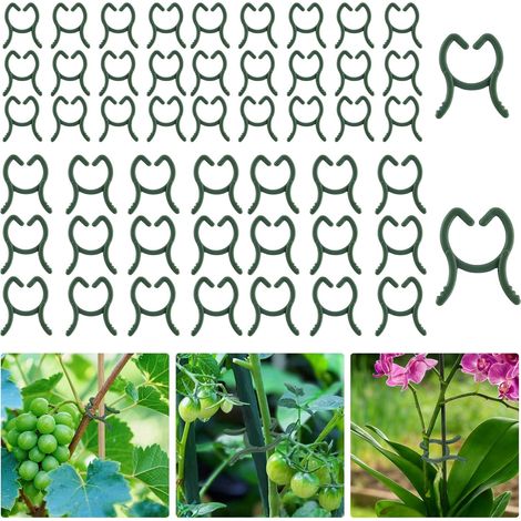 APEX 200 clips de support pour plantes, deux tailles, clips de support réutilisables pour plantes grimpantes, légumes et fruits. (1/5)