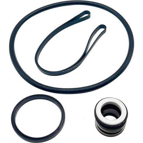 Kit de réparation SPX1600Z2 PS-201 Hayward SP3000X - Ensemble joints et lubrifiant (1/4)