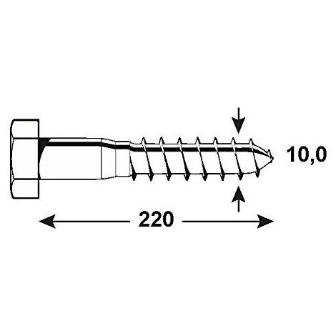 Connex KL3141220 Vis a bois 6 pans galvanises 1000 g 10 x 220 mm