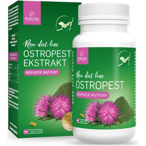 Gamme Temptation Raw Diet Chardon-Marie/Chardon-Marie 120 comprimés