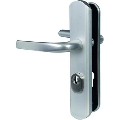 Ensemble de sécurité sur grande plaque SECUMAX ONE palière à tirage champagne - VACHETTE