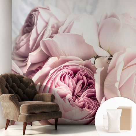 Papier peint intissé à motifs décoratifs pour salon chambre et bureau Décoration murale élégante avec colle Roses roses 250x250 cm (1/5)