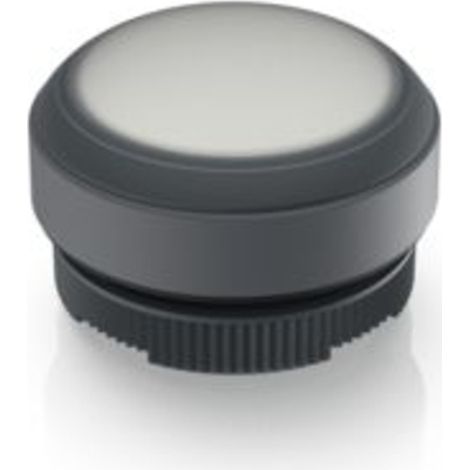 RAFI 1.30.270.005/2201 E-BOX IO-LINK Leuchtdrucktaster    tastend  (L x B x H) 29.8 x 29.8 x 20.7 mm