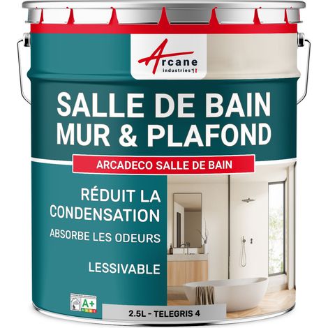 Peinture salle de bain, mur et plafond, condensation - 2.5 L Telegris 4 - RAL 7047 - ARCANE INDUSTRIES (1/5)