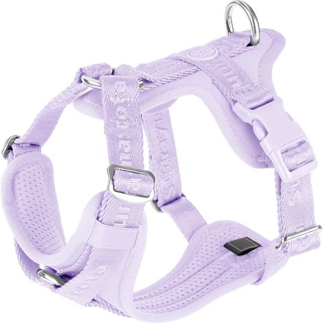 Pettorina per cani con morbida imbottitura in lycra, comodo gilet in rete traspirante, misura regolabile per razze piccole, medie e grandi, sicura, con due fibbie (1/5)