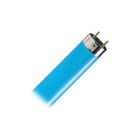 Philips Leuchtstoffröhre MASTER TL-D - T8, 180 Blau - 18W (590mm) (1/5)