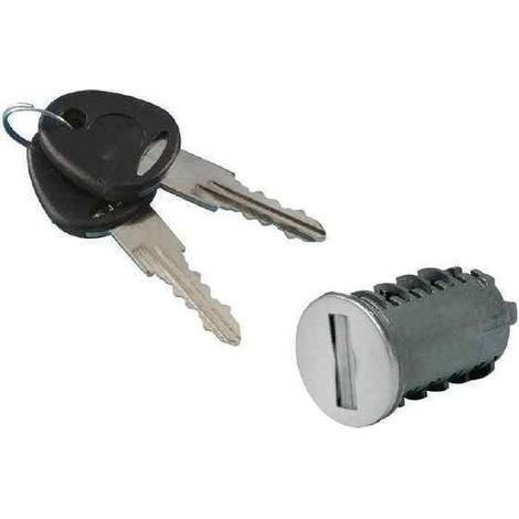 Kit Paire de Clés + 10 Barillets FAP – Compatible camping-car et caravane