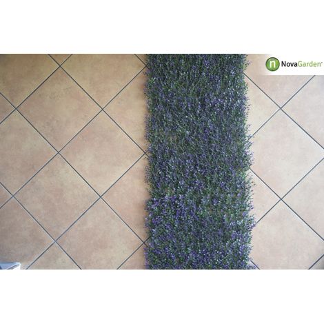 Jardín Vertical Lavanda 50x50cm (1/2)