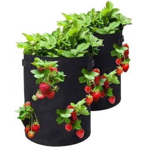 Strawberry Planting Bag, 2 Pack 10 Gallon Strawberry Grow Bags with 8 Side Grow Pockets, Breathable Non-Woven Fabric Reinforced Handle for Garden Strawberries, Herbs, Flower (1/4)